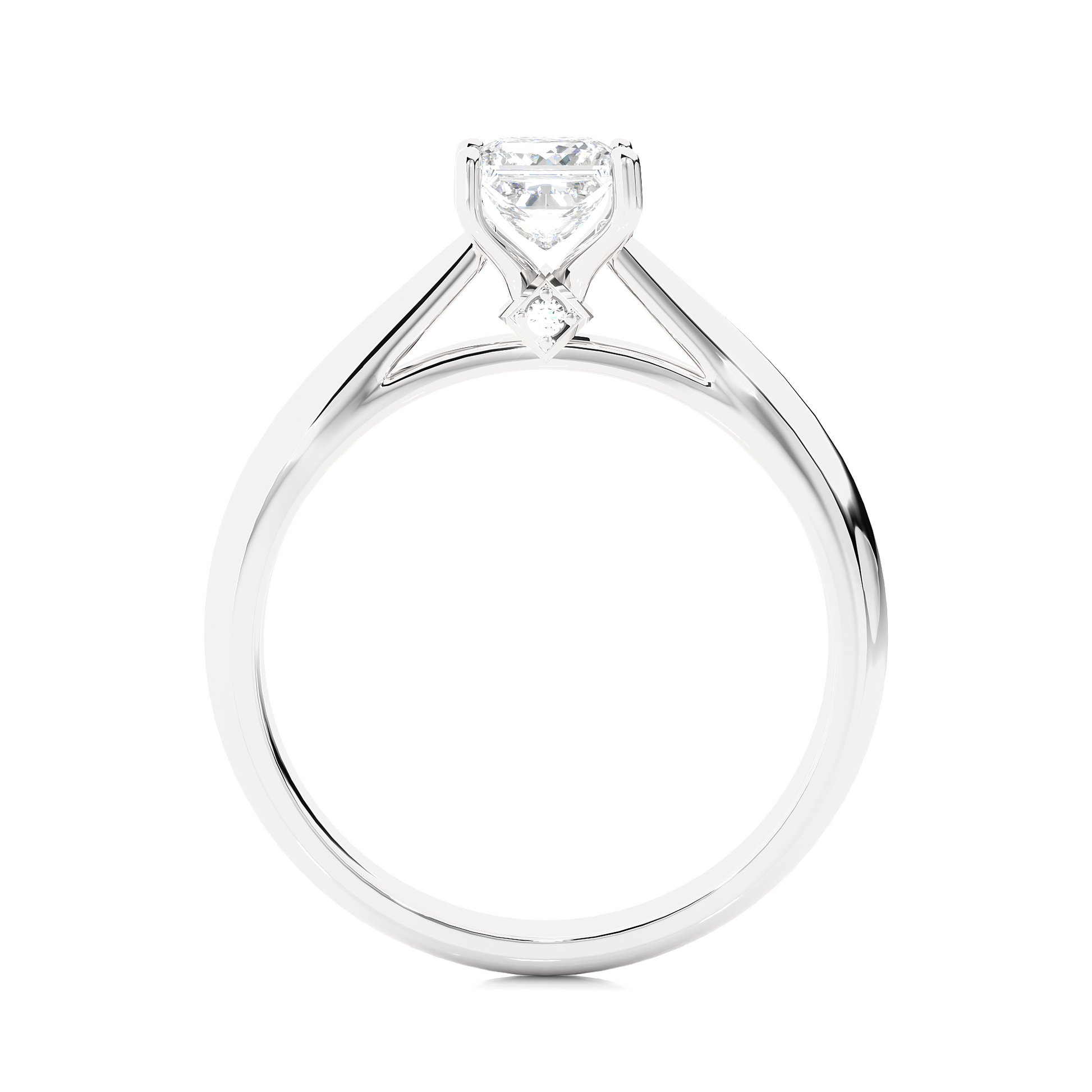 Round + Princess Diamond Ring – Elegant Diamond Pairing in Gold