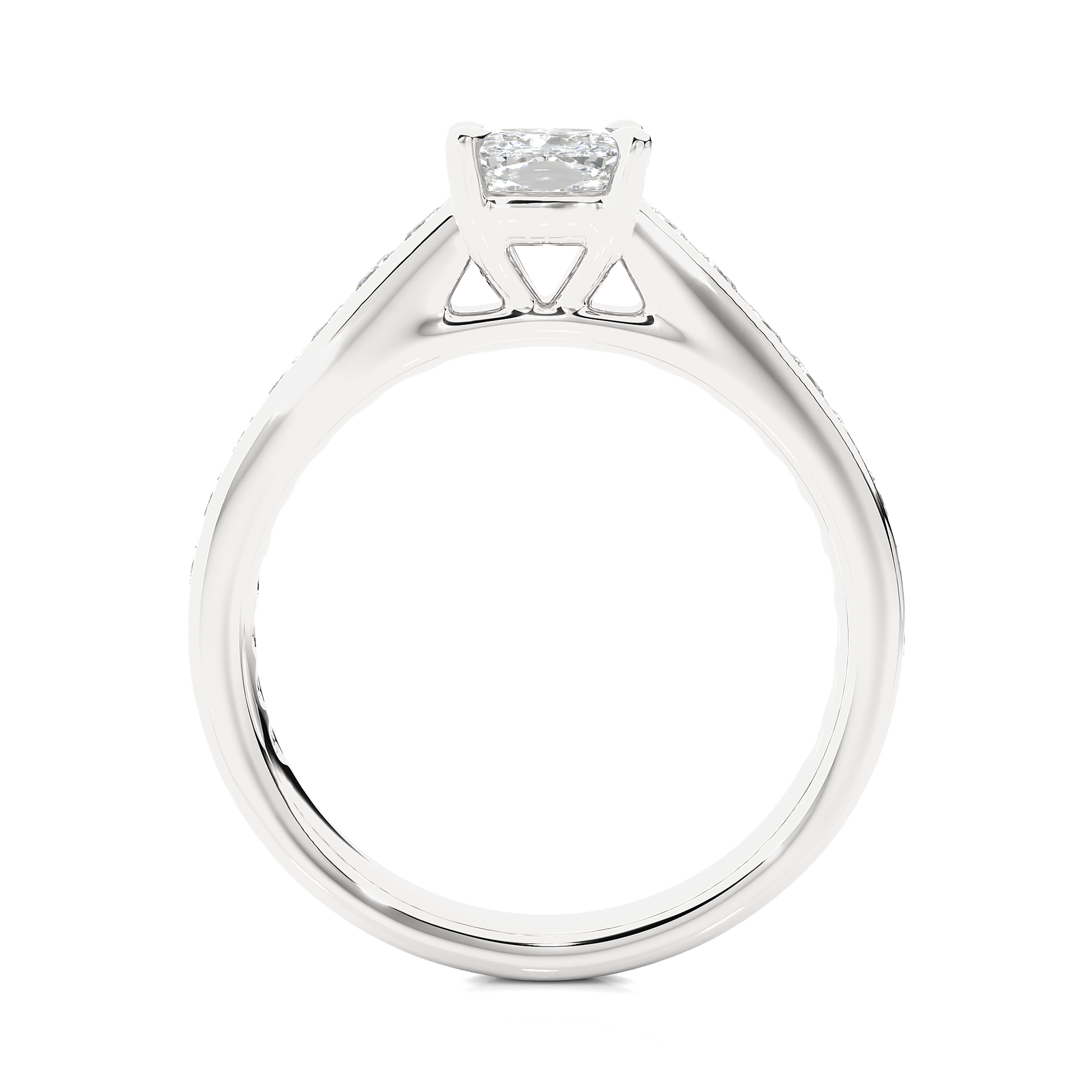 1.1+1.0  Ct Cushion + Princess Diamond Ring