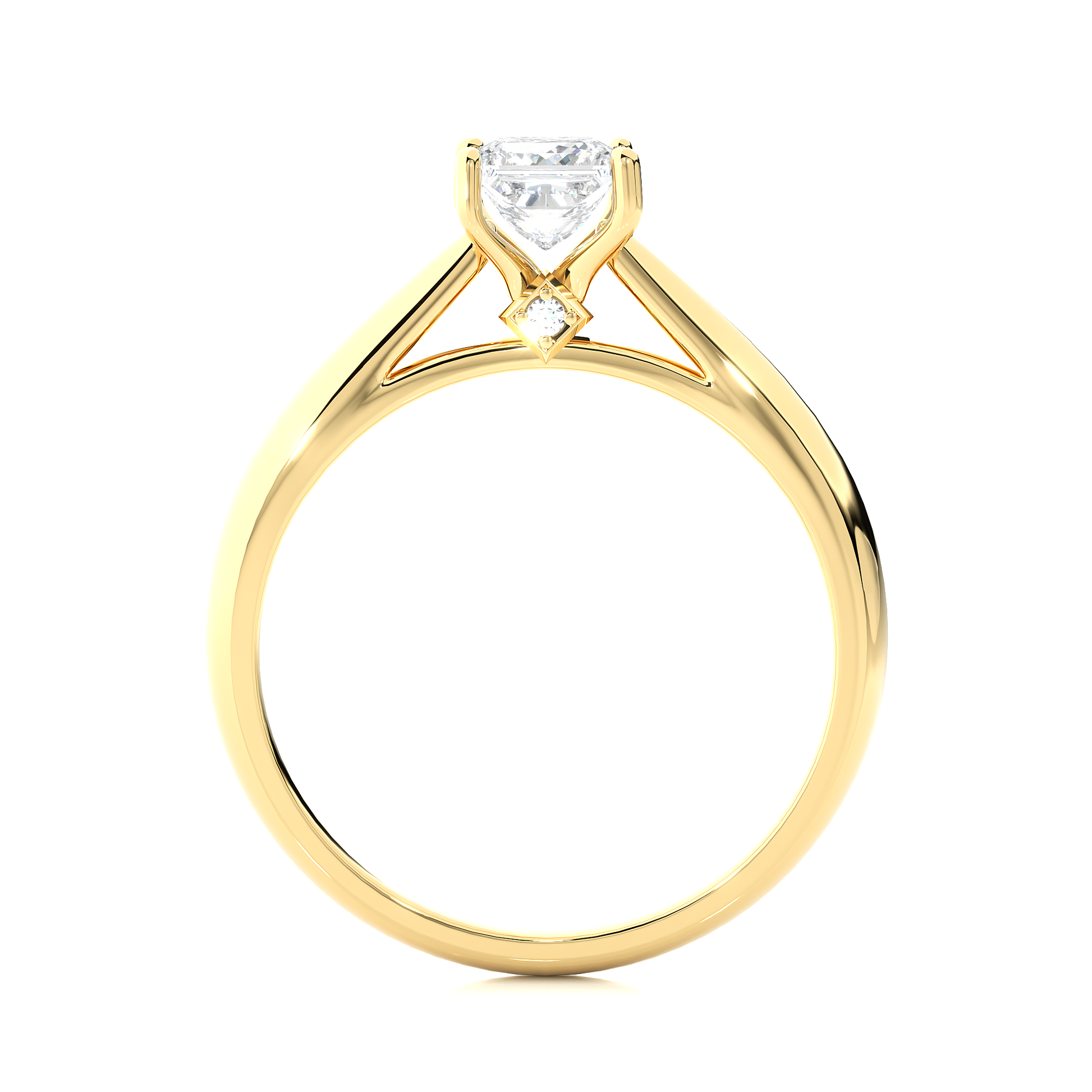 Round + Princess Diamond Ring – Elegant Diamond Pairing in Gold