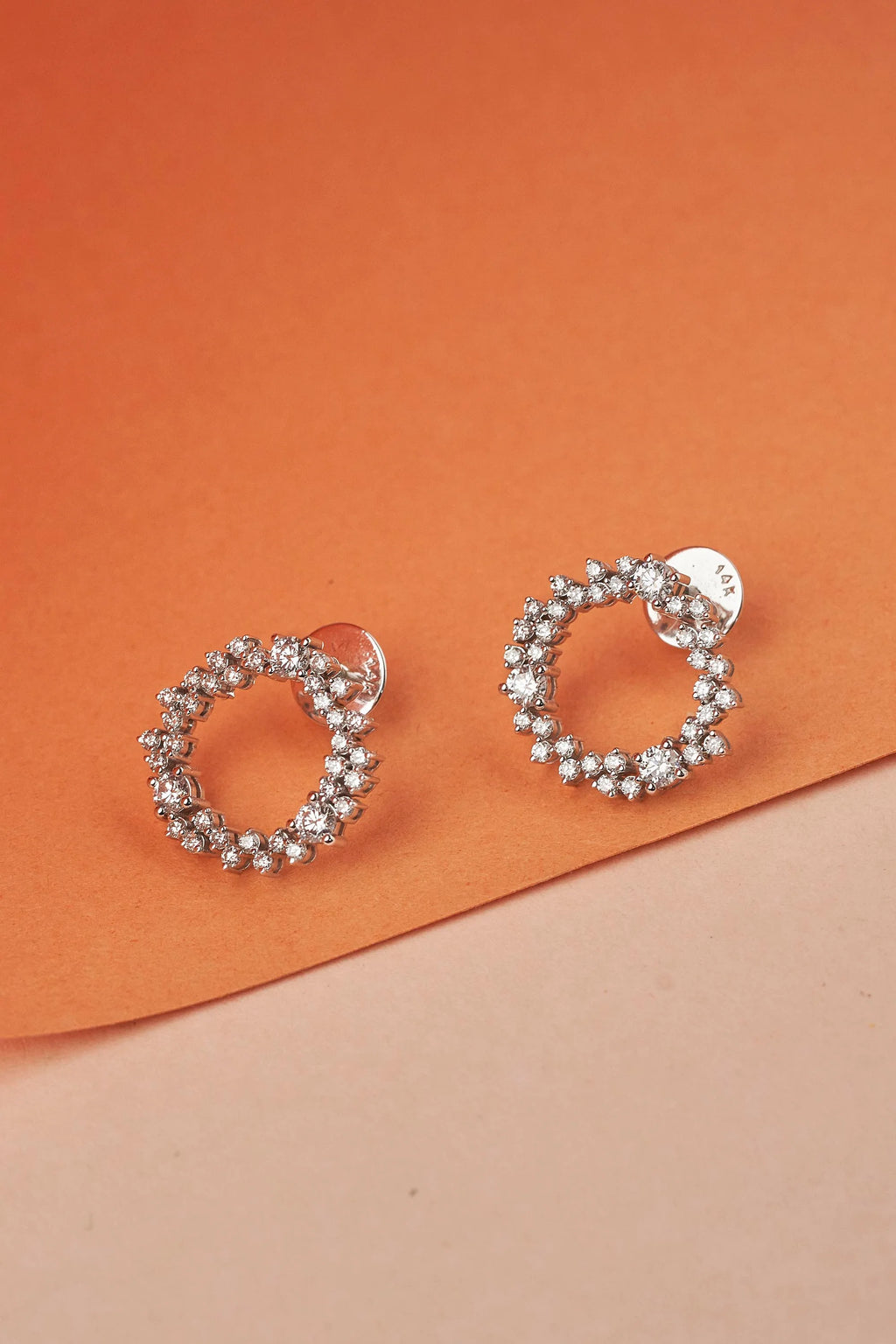 Round Shaped Earring